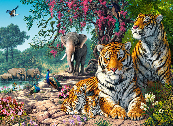 Puzzle 300 dílů