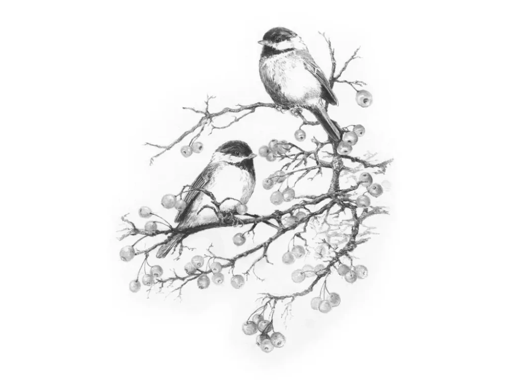 Malování SKICOVACÍMI TUŽKAMI - Ptáčci