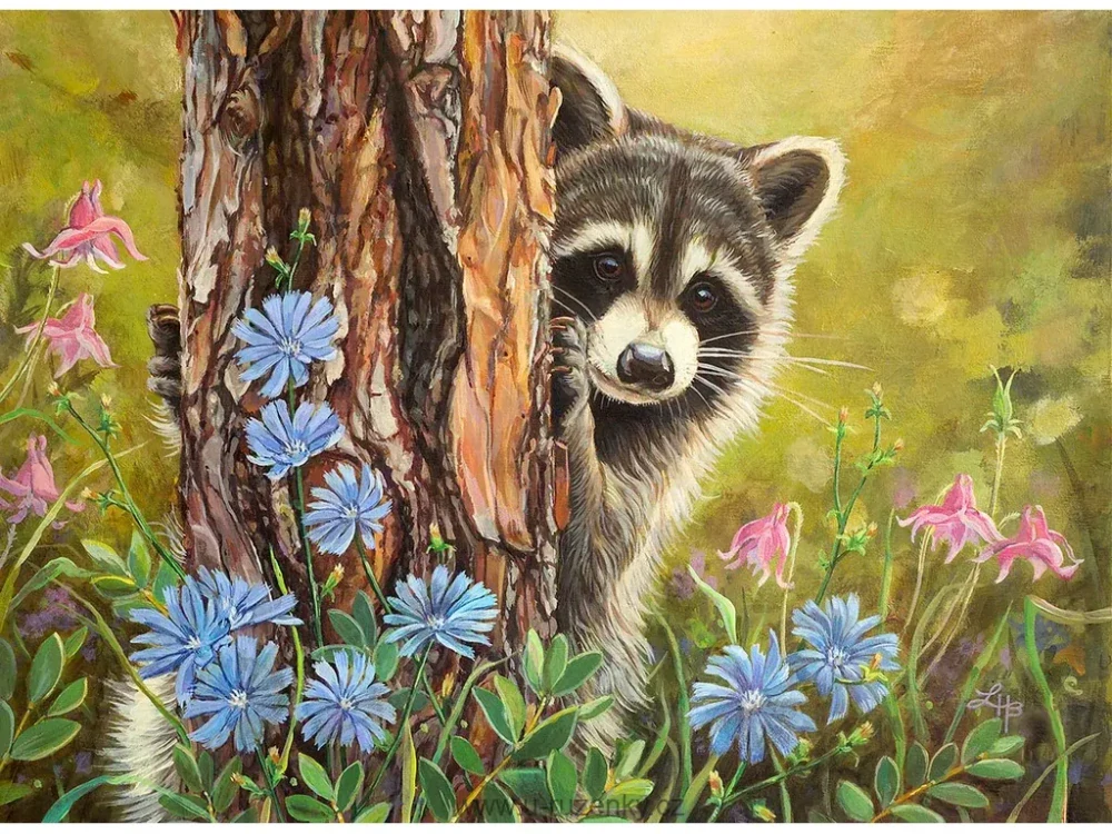 Malování podle čísel Royal 30x 40cm, Tajný ctitel (mýval)