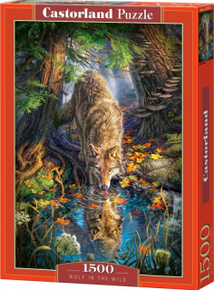 Puzzle 1500 dílků - Pijící vlk v divočině
