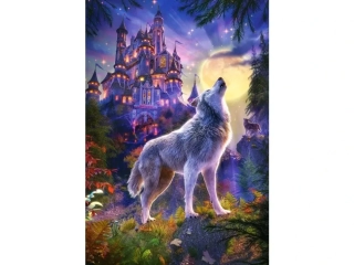 Puzzle Castorland 1000 dílků - Vlčí zámek
