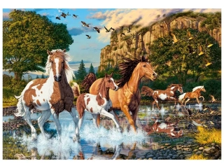 Puzzle Castorland 1000 dílků - Koňská říše divů