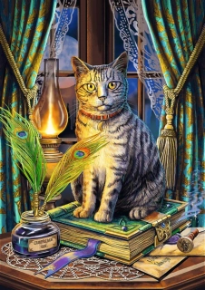 PUZZLE Magic Collection Kniha stínů 1000 dílků