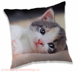 Polštářek Kitten 40x40 cm