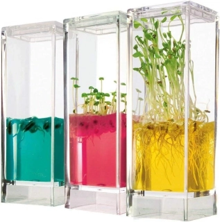  Plantarium Garden LAB