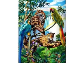 Diamantový obrázek Papoušci a leopardi 30x40cm