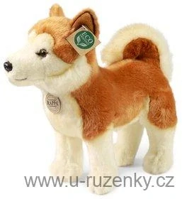 Pes Akita Inu 30cm Eco-Friendly 