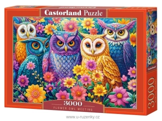 Puzzle Castorland 3000 dílků - Flower Owl Meeting